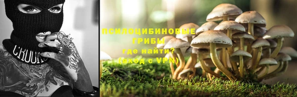 PSILOCYBIN Абинск