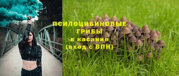 а пвп мука Алексин