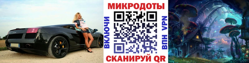 наркотики  Сокол  дарк нет состав  Галлюциногенные грибы прущие грибы 
